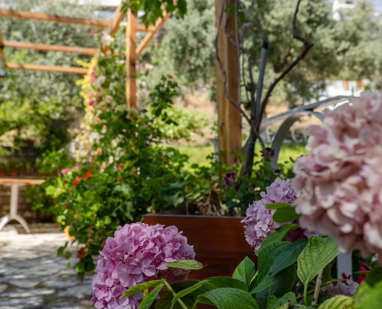 Villa Green Garden Saranda Hotel